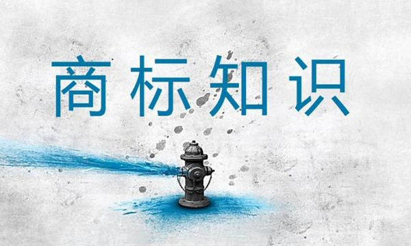 商标知识.jpg