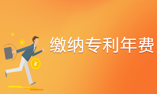 专利年费.jpg
